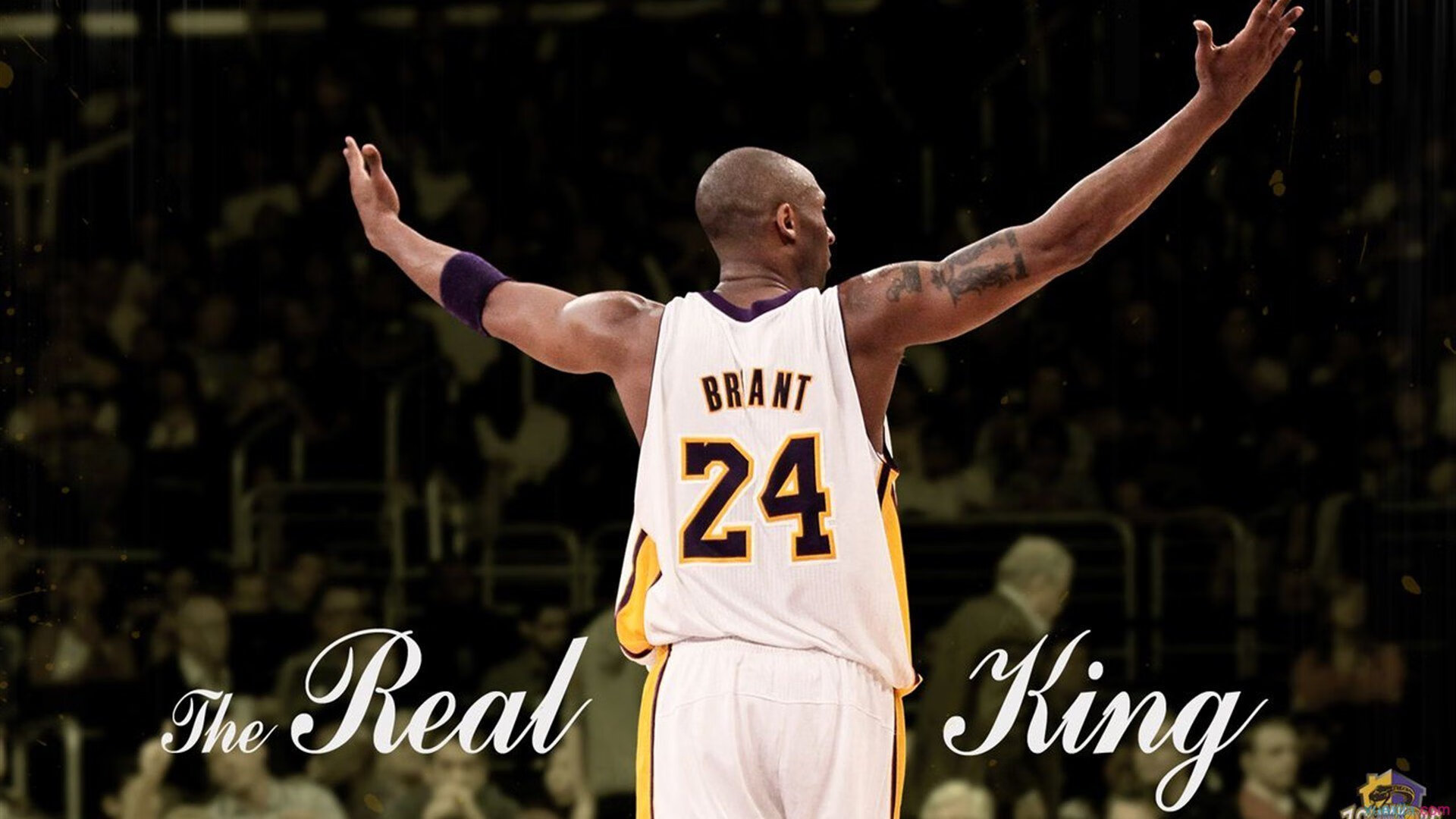 快船战术整合仍未完成哈登融入度成焦点，被哈登晃倒的快船球员